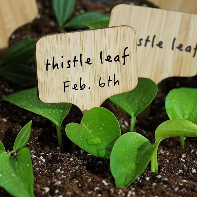 OBTANIM 75 Pack Bamboo T-Type Plant Labels with A Marker Pen, Garden Markers Sign Plant Tags for Seedling Potted Herbs Flowers Vegetables