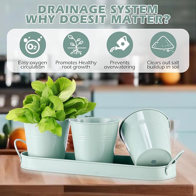 Wenqik 2 Sets Herb Garden Planter Pot Set with Tray Metal Windowsill Plant Pot with Drainage Farmhouse Decorative Live Herb Garden Kit for Home Kitchen Indoor Outdoor Apartment Balcony Window(Green)