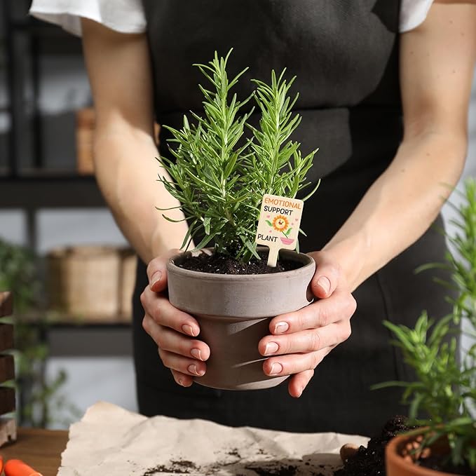 UPINS 24Pcs Acrylic Plant Labels Plant Markers Plant Tags Signs with Funny Words for Indoor Outdoor Gardens Plants