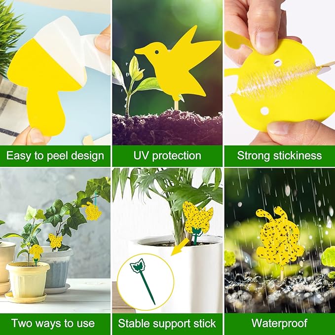 48 Pack Fruit Fly Trap for Indoors, Fungus Gnat Killer Indoor Sticky Traps for Mosquito and Flying Insects, Bug Pest Insect Catcher Killer for Houseplant