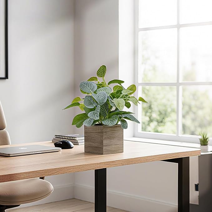 2 Pack 12" Medium Eucalyptus Fake Plants, Artificial Plants Indoor with 4 Inch Wooden Planters, Faux Potted Plants for Home Decor, Desk, Shelves, Desktop, Coffee Table, Bedroom