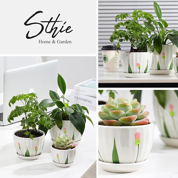STHIE Ceramic Plant Pots with Drainage Holes and Saucers, Round White Flower Pots for Indoor Plant, Diameter 3.3/4.3/5.5 Inches Small Flower Planters Set of 3