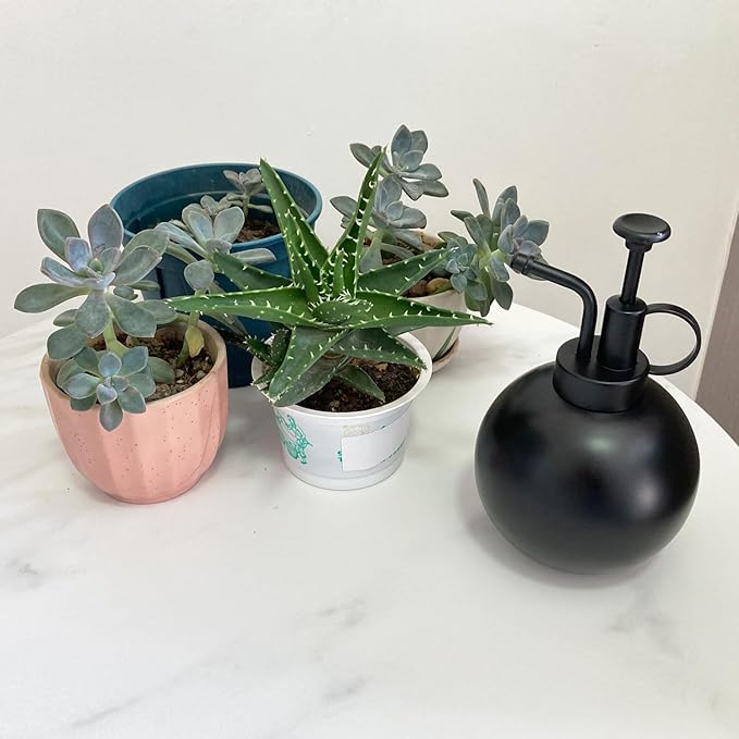 Stainless Steel Plant Sprayer, Small Watering Can, Modern Gardening Tool for Indoor Potted Plants