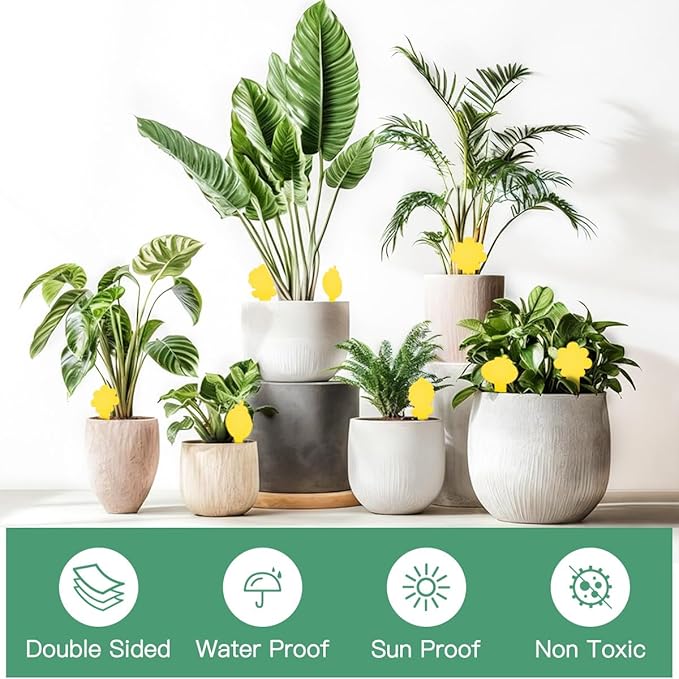 Sticky Yellow Fungus Gnat Traps, Easier to Use, No Touching Glue Or Bugs, Targets Species for Gnat, Fruit Fly & Pests, Three Thoughtful Designed, High Capture Rate, Kid & Pet Safe, 99 Traps