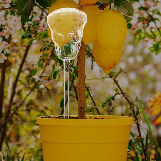 Milisten Skull Self Watering Device 9.64X2.75In Automatic Plant Waterer for Patio Lawn Garden Indoor Outdoor Succulent Pots