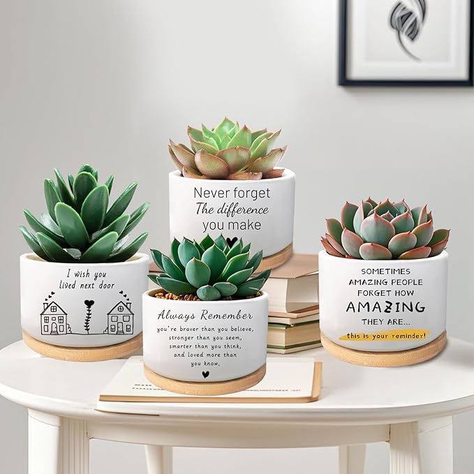 Inspirational Gifts for Coworker Teacher, Funny Succulent Plant Pot, Cactus Flower Planter, Office Decor Positive Gifts for Women Men Friend Boss Manager (Plants Not Included)