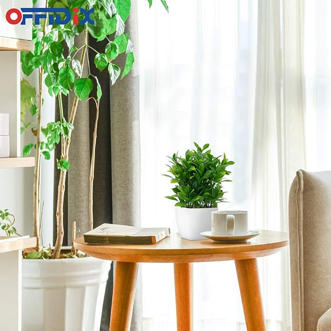 OFFIDIX Artificial Eucalyptus Plants with White Square Vase Small Artificial Tree for Office Desktop Decor Fake Plants for Home and Office Indoor Decorations