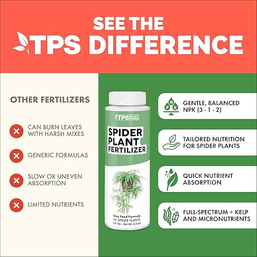 Spider Plant Fertilizer – Liquid Plant Food for Longer Runners, Greener Leaves & Healthy New Growth, 8 oz