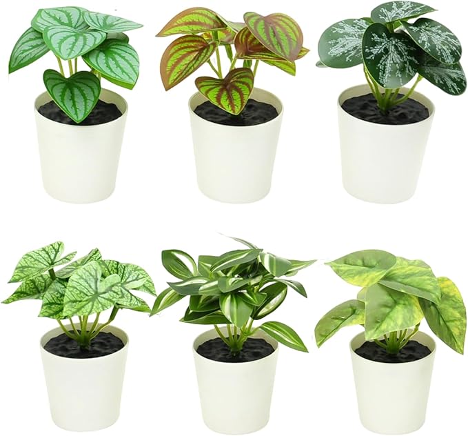 Freyalife 6 Pack Fake Plants for Room Decor,Mini Artificial Potted Plants for Home Office Living Kitchen Classroom Table Shelf Desk Farmhouse Bathroom Indoor Decor