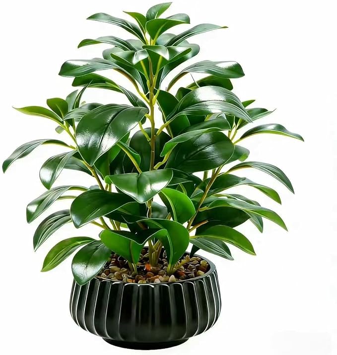 16" Artificial Peperomia Potted Plant in Black Ribbed Ceramic Planter Realistic Faux Green Leaves Tabletop Branches for Indoor Home Office Living Room Shelf Desk Decor