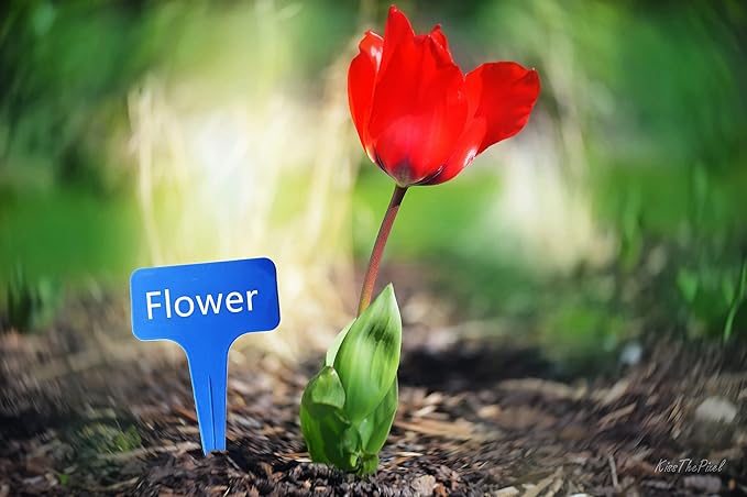 DaTpuik Blue Thick Plant Garden Labels, Plastic T-Type Nursery Markers Tags(100 Pcs)