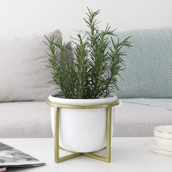 LA JOLIE MUSE Ceramic Flower Plant Pot with Stand - 6.7 Inch White Indoor Planter Pot with Gold Metal Stand for Herbs Orchids Cacti Succulents