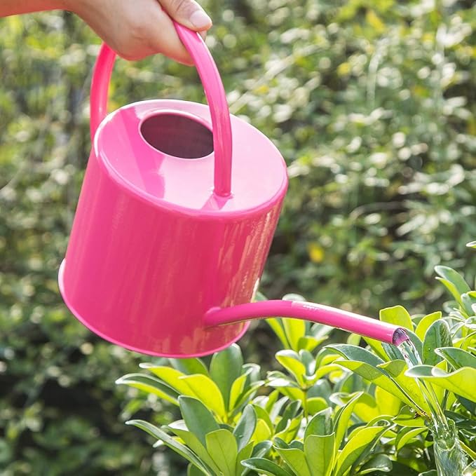 51 Ounce/1.5L Watering Can for Indoor and Outdoor Plants - Long Spout Water Can for Garden, Flower, House Plants, Decorative Watering Can(Rose)