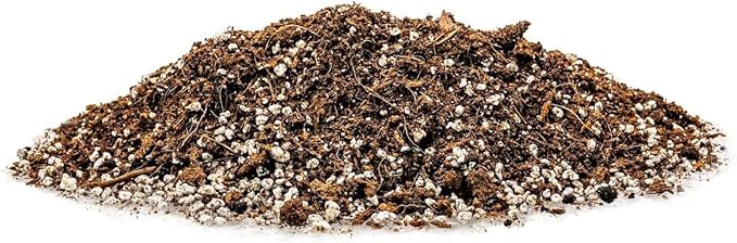 GARDENERA Organic Potting Soil for Tomato Plants - 1 Quart - Hand-Mixed with Natural Ingredients for Optimal Growth and Nutrient Retention