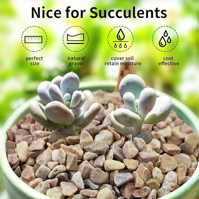 FANTIAN 5lbs Natural Pea Gravel Pebbles, 3/8 Inch Decorative Succulent Rocks Pebbles for Indoor Plants. River Rocks for Vase and Outdoor Garden Landscaping Rocks