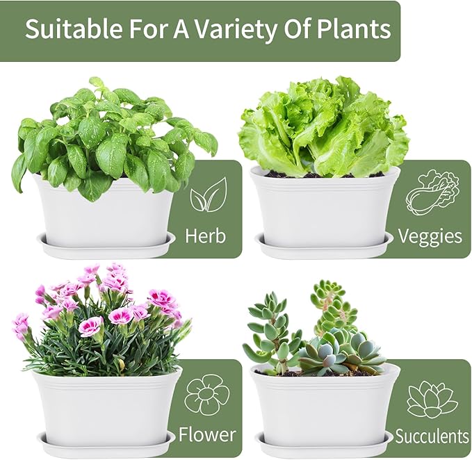 Oliz Windowsill Garden Pots, White Plastic Flower Pots with Drainage Tray for Herb, Succulents, African Violet (Pack of 6)