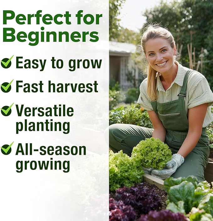 HOME GROWN 20 Variety Lettuce Seeds 21,700+ Bulk Pack Heirloom Non-GMO High Germination, Romaine, Butterhead, Spinach, Kale, Iceberg, Continuous Harvest Indoor Outdoor Hydroponic Garden (20 Varieties)