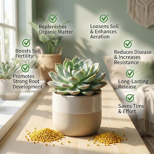 RAINFLOW 11.28 OZ Slow Release Fertilizer - Organic Plant Food All Purpose Plant Fertilizer for Succulents Cactus Orchid Bonsai and All Other Outdoor & Indoor Garden