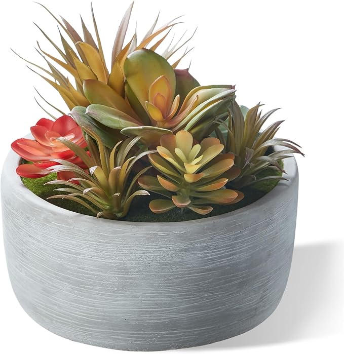 6 Inch Artificial Succulent Plants in Pots,Realistic Fake Succulents with Gray Ceramic Pot for Home Office Desk Bathroom Coffee Table Decor