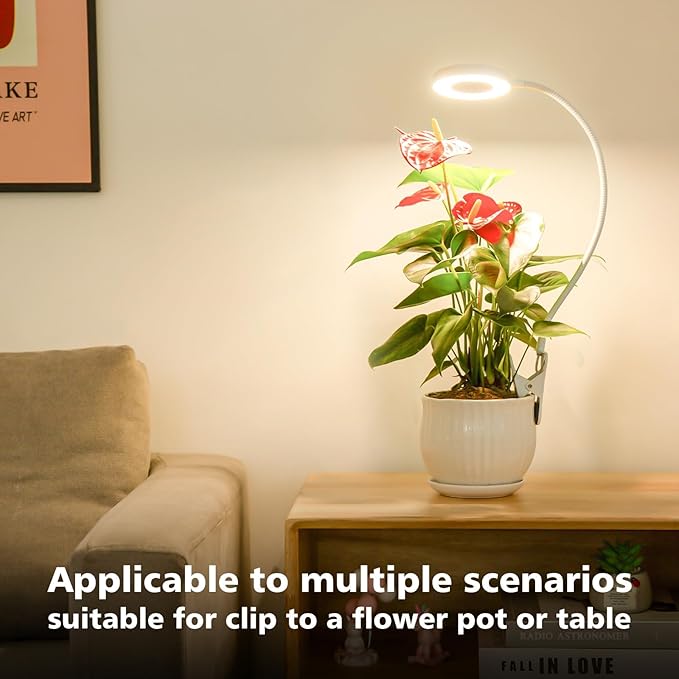 LORDEM Grow Light,Full Spectrum Pot Clip LED Plant Growth Light with Auto On/Off Timer 4/8/12H,Plant Lamp with 360°Rotatable Gooseneck, 4 Dimmable Brightness, Ideal for Small Indoor Plants, 1 Pack
