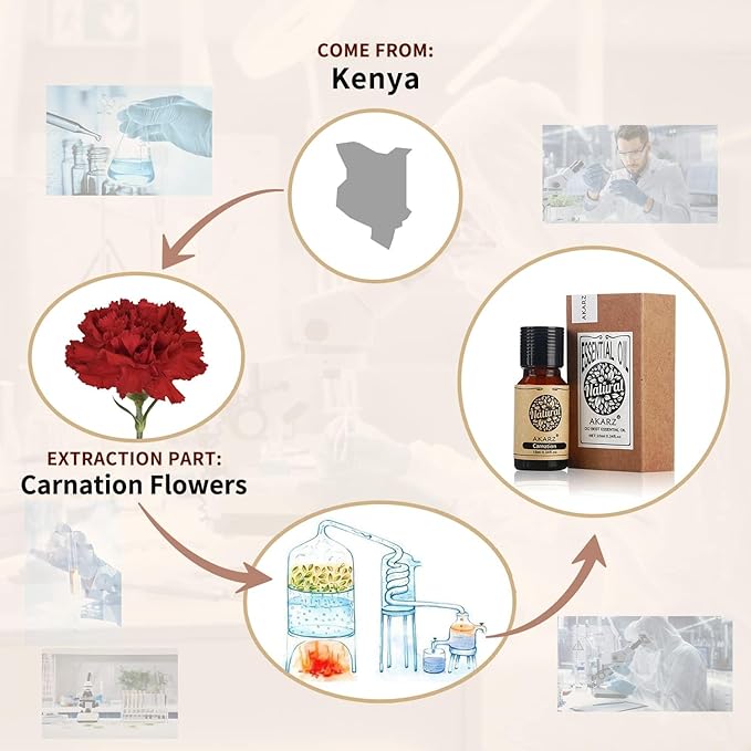 AKARZ Carnation Essential Oil Natural Organic Pure Carnation Oil for Skin Body Hair Care,Diffuser, Candle,Soap,Making, DIY,Massage Aroma 0.34 Fl Oz (10ml)