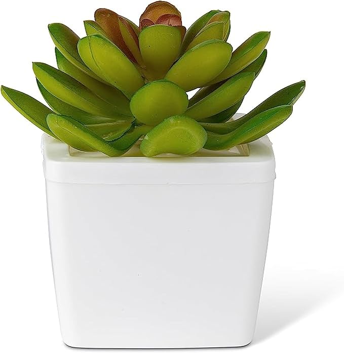 ZendoZones Succulent Fruit Fly Trap – Serene Sandy Design with White Base – Eco-Friendly Indoor Fruit Fly Control – Easy-to-Use Decorative Trap