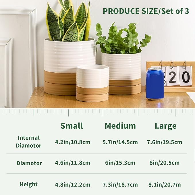 HASENSE Ceramic Plant Pots with Saucers Set of 3, 8+6+4.6 Inch Planters for Indoor Plants with Drainage Holes,Two-Tone Design White Flower Pots for Snake Plants & Cactus,Home & Office Decor