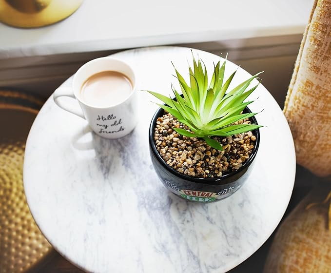 Silver Buffalo Friends Central Perk Logo Decorative Artificial Faux Greenery Plant in Ceramic