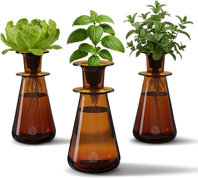 Lettuce Grow Counterstand Hydroponic Garden Kit – Indoor Herb & Lettuce Growing System, Small Countertop Planter, Decorative Vase Design for Kitchen & Home, No Grow Light