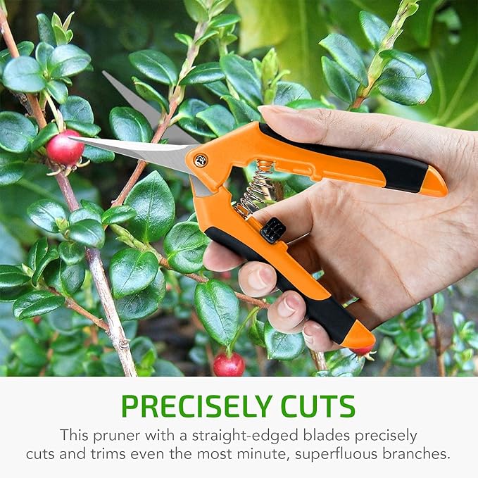 iPower 6.5 Inch Gardening Scissors Hand Pruner Pruning Shear with Straight Stainless Steel Blades, Orange, 1-Pack