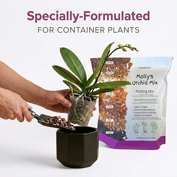 Molly's Orchid Potting Mix - Premium Gritty Soilless Orchid Mix - Chunky High Drainage vs Standard Potting Soil for Indoor Plants - Contains Bark, Coco Chips, Akadama, Pumice, Lava Rock 3 Dry Quarts