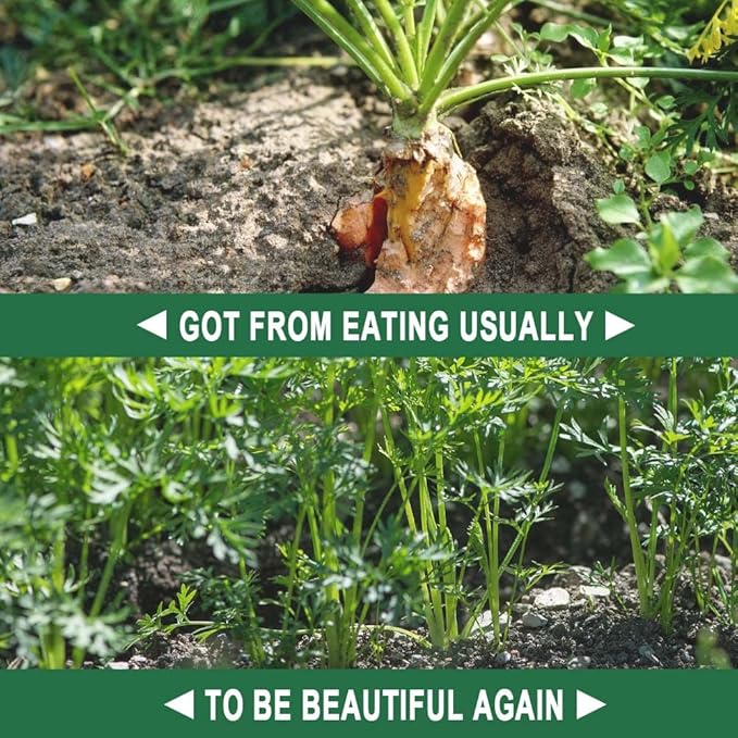Deer Repellent, Deer & Rabbit Repellent for Plants, Deer Deterrent for Garden and Yard, Rabbit Repellant Outdoor, Keep Deers Away from Trees, Long-Lasting 2 Months Protection-12 Pack