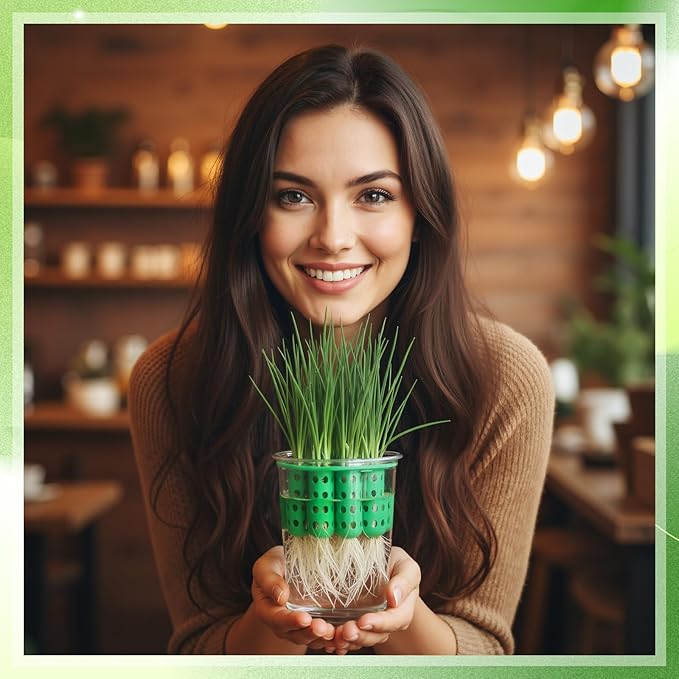 2 Pack Green Onion Planter Scallion Grower Seed Sprouting Kit Compatible with Regular Mouth Mason Jar for Windowsill Garden, Hydroponics, and Propagation Hydroponics Enthusiasts (Green)