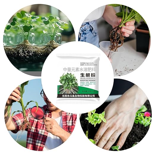Rooting Powder, with Pathogen Risk Reduction, 25g, Cutting Propagation Hor-Mone, Root Growth Stimulant, Promotes Strong Healthy Roots, for Garden Trees Vegetables Lawn Patio Soil Indoor Plants