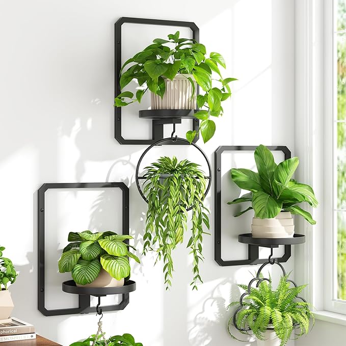 iDavosic.ly Wall Plant Picture Frame Holder Set of 3 for Indoor, Metal Stand with Hanging Hooks, Floating Flower Display Decor, Space Saving & Easy to Assemble (Pots/Chains/Plants Not Included)