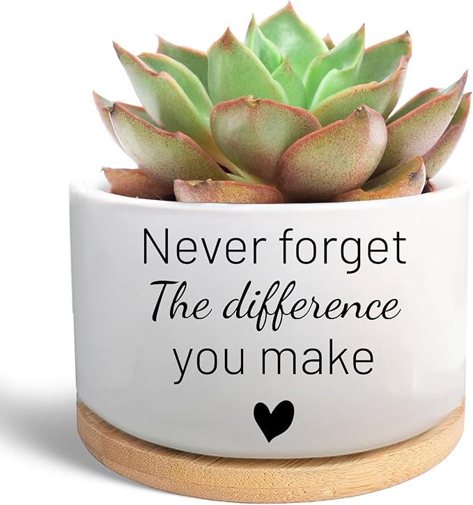 Funny Succulent Plant Pot, Thank You Gifts for Coworker Teacher, Cactus Flower Planter, Going Away Goodbye Appreciation Gifts for Women Men Friend Boss Manager (Plants Not Included)