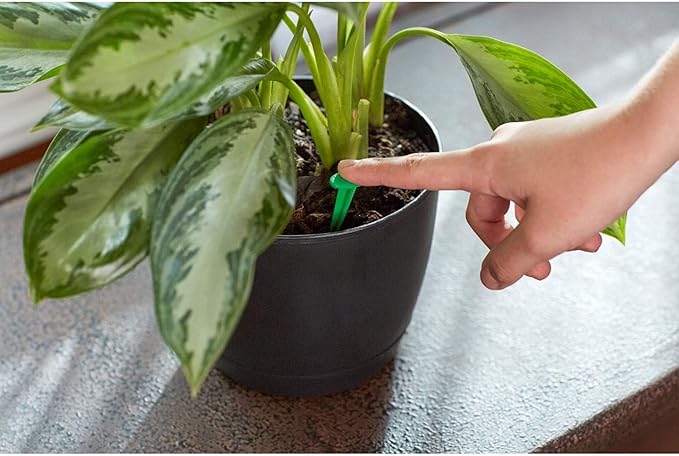 Miracle-Gro Indoor Plant Food Spikes, Includes 24 Spikes - Continuous Feeding for all Flowering and Foliage Houseplants - NPK 6-12-6