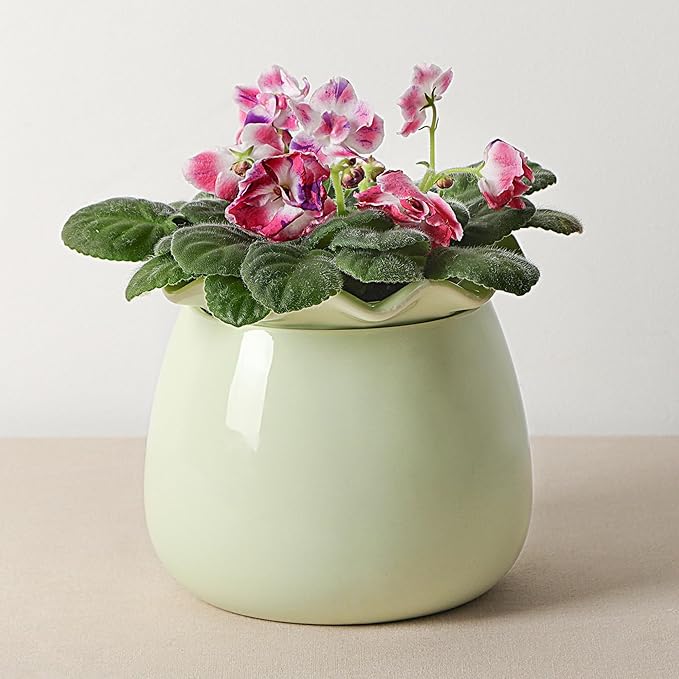 Fayoula Self Watering Plant Pot, 6 Inch African Violet Pots Maintenance, Ceramic Self-Watering Planter for Indoor Plants - Ideal Flower Pot for Thriving Indoor Gardens, Green