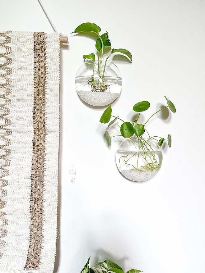 Kingbuy Wall Hanging Glass Planter Propagation Station - 2 Pack Oblate Globe Wall-Mounted Vases for Indoor Hydroponic Air Plants Bathroom Living Room Office Decor Gift for Women, Mom, Plants Lovers