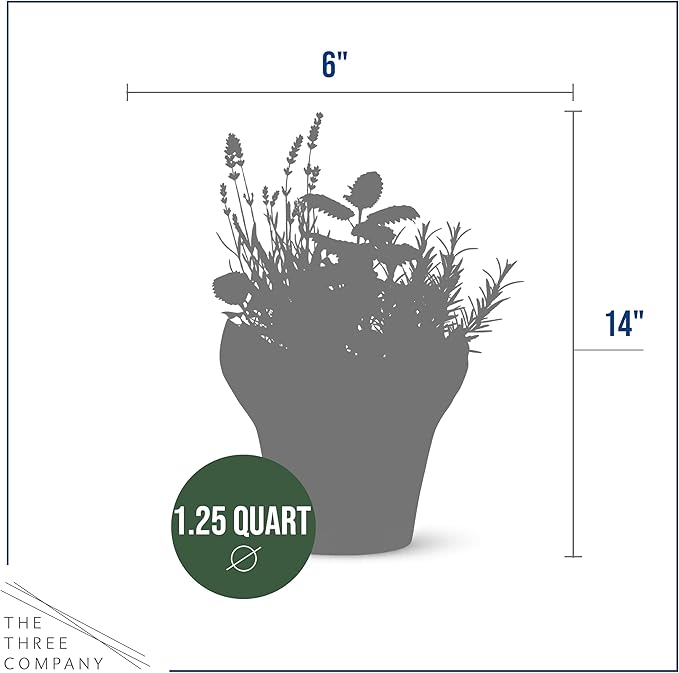 Live Aromatic and Healthy Herb Combo in Deco Cover - Stress Reliever, Combo Includes Lemon Balm, Lavender, and Mint, 12" Tall by 6" Wide in 1.25 Quart Pot