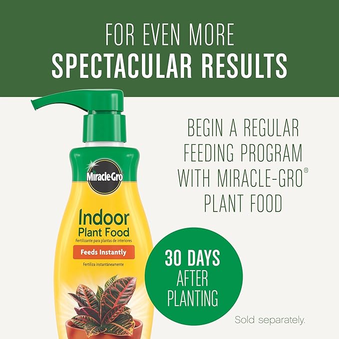 Miracle-Gro Houseplant Potting Mix - Fertilized Indoor Plant Soil for Containers, Designed to be Less Prone to Gnats, 4 qt.