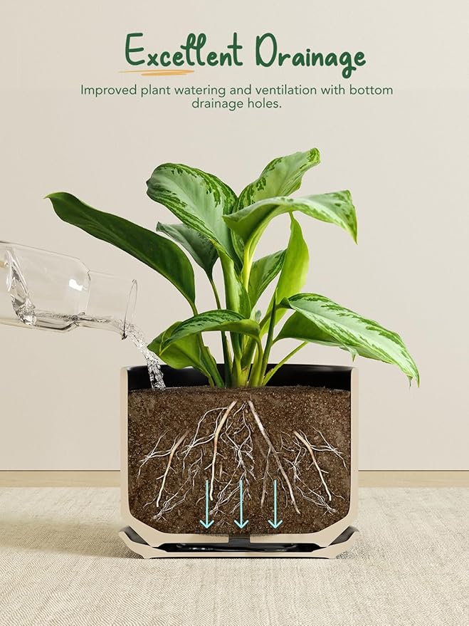 LE TAUCI Ceramic Plant Pots, Set of 2, 8+10 Inch Plant Pots Indoor with Drainage Hole & Saucer, Sturdy Planters for Indoor Plants, Modern Minimalist Decor for Snake Plant, Monstera, Black