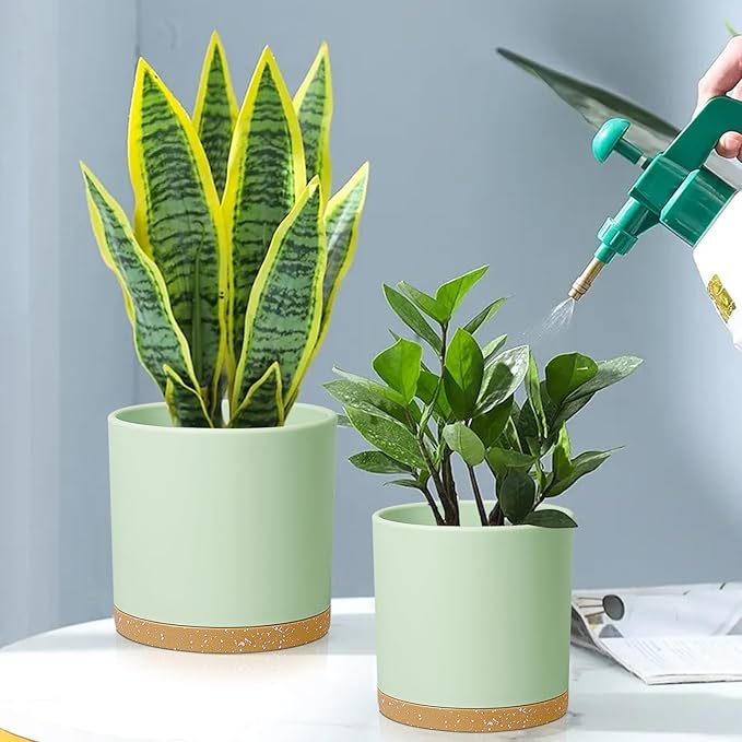 Meowell 8/7/6 inch Plant Pots, 3 Pack Cylinder Flower Pots for Outdoor Indoor Plants, Decorative Plastic Planters with Drainage Holes and Saucers for Garden House Plants, Green with Brown