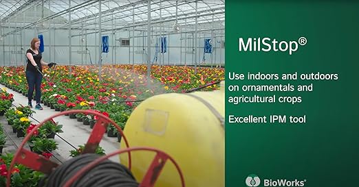 MilStop SP Organic Foliar Fungicide, 5 lb Bag, with Trimming Scissors