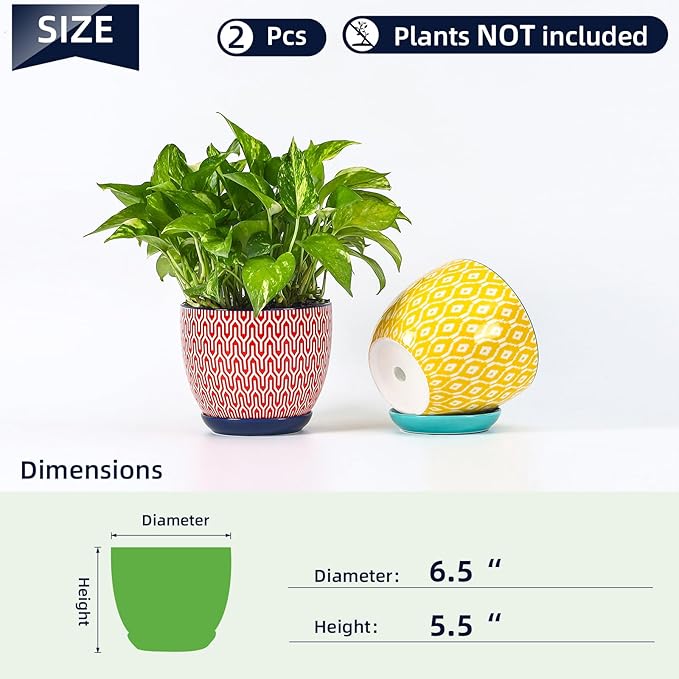 Selamica Ceramica Plant Pots, 6.5 Inch Flower Pots Set of 2 with Drainage Holes & Saucer, Planters for Indoor Plants, Home Decor, Assorted Colors