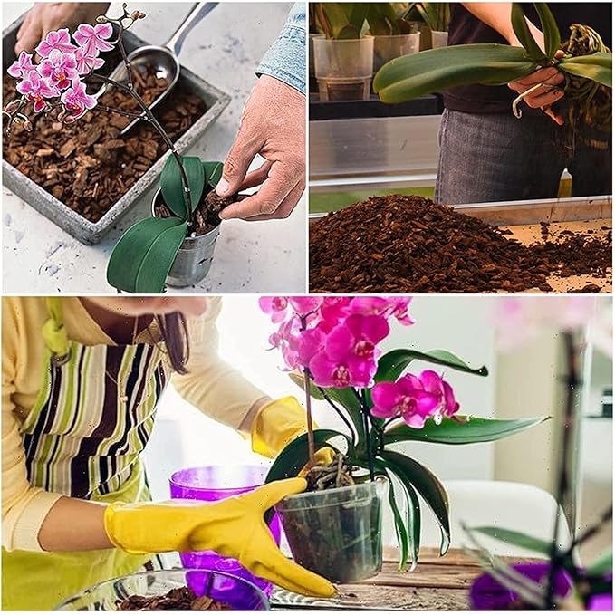 Doter All Purpose Soil Potting Mix - Orchid Bark & Organic Perlite for Plants - All Natural Soil Media Has Good Drainage for Planting or Orchid Repotting (1 qt)