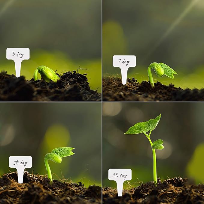 100PCS Plant Labels, 2.36x3.93IN T-Type PVC Garden Tags, Waterproof Plant Sign, Durable Garden Labels, Nursery Garden Marker, Plant Name Tags for Seed Potted Herb Flower Vegetable (White)
