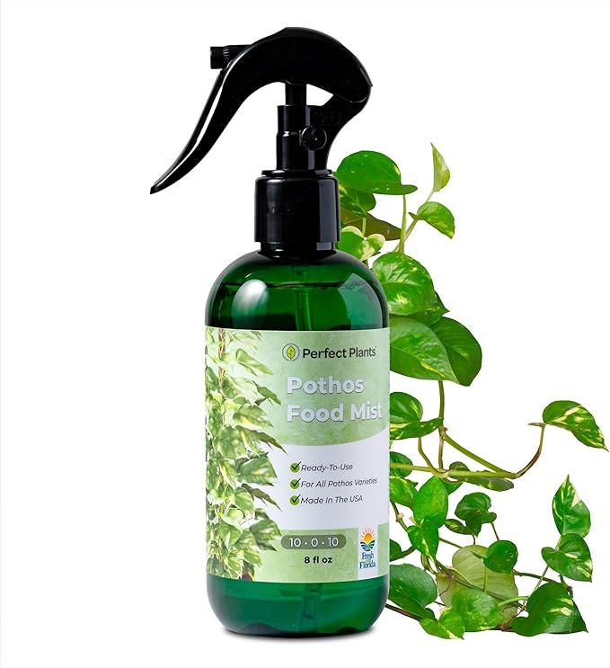 Pothos Spray Fertilizer by Perfect Plants | Liquid Plant Food for Potted Indoor Pothos | Foliage Growth Booster Balanced Phosphorus Free NPK Ratio (8 fl oz)