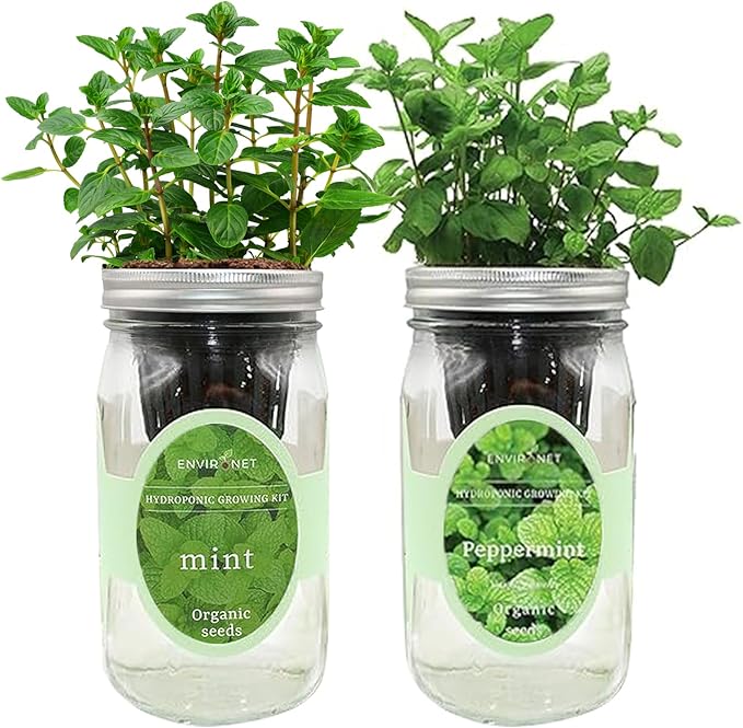 2-Pack Hydroponic Mason Jar Herb Garden Kit, Indoor Herb Garden Self-Watering Starter Kit, New Christmas Gift for Mom (Mint,Peppermint)