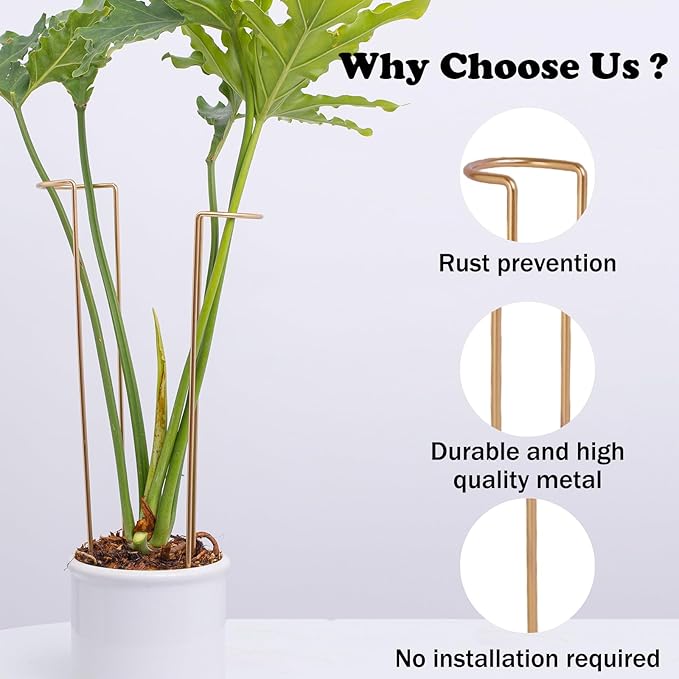 10-Pack Large Indoor Plant Stakes - 15.5-Inch Heavy Duty Metal Supports for Monstera and Outdoor Plants | Ideal for Supporting Tall Plants & Enhancing Garden Displays |